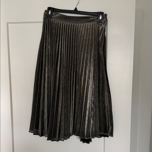 Vestique Pleated Skirt
